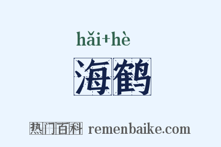 海鹤是什么意思的图片